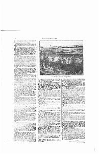 LIVRE D OR DE L ORANIE_000023